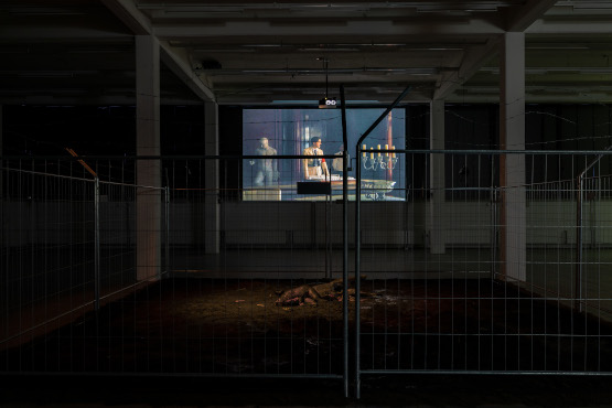 Online: Artist Talk with Albert Serra, »The Three Little Pigs«