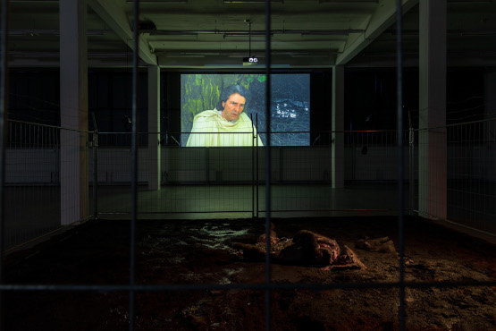 Online: Artist Talk mit Albert Serra, »The Three Little Pigs«